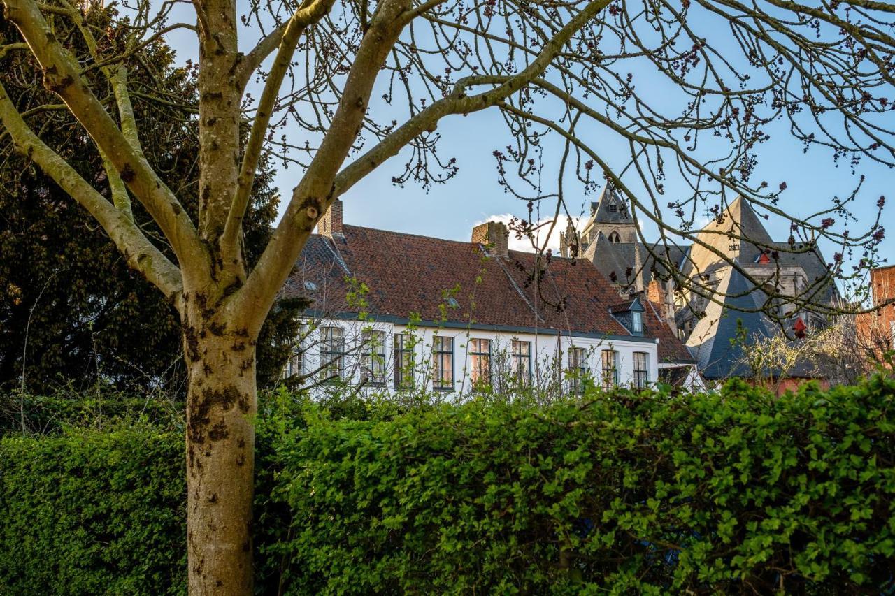 B&B Ar'Home Kortrijk Buitenkant foto